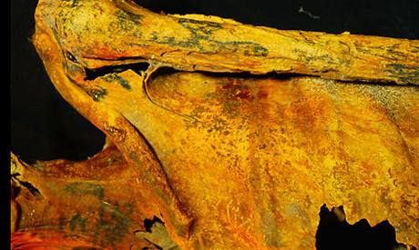 Trên cơ thể xác ướp này, các chuyên gia phát hiện khoảng 30 hình xăm kỳ lạ hình đóa sen, bò, khỉ đầu chó và con mắt thần Wadjet. Những hình xăm này đều mang thông điệp riêng.