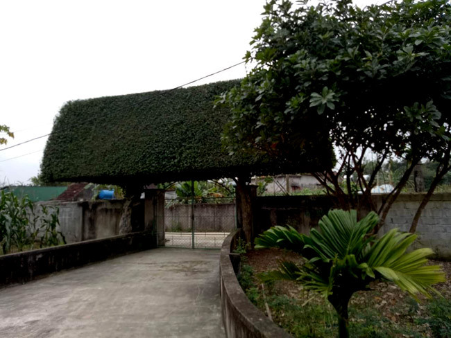 Cổng duối cổ nhìn từ một góc sân.