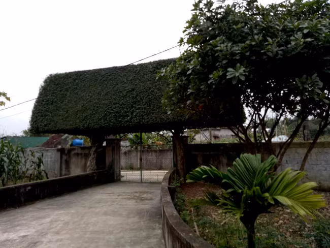 Cổng duối cổ nhìn từ một góc sân.