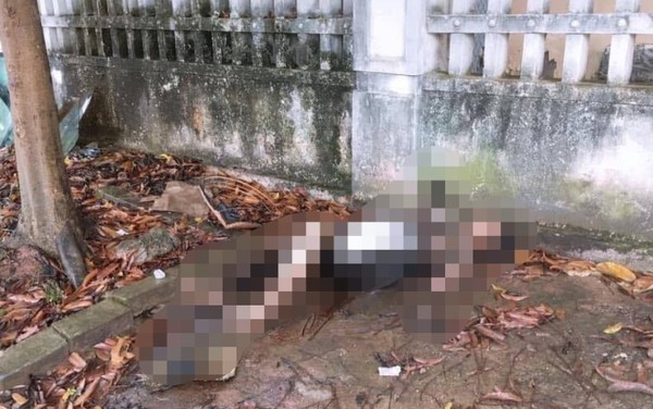 Bang hoang phat hien thi the nguoi phu nu bi chay den ben ve duong