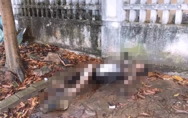 Bang hoang phat hien thi the nguoi phu nu bi chay den ben ve duong