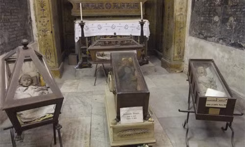 Khi hướng của ánh sáng thay đổi, đôi mắt của Rosalia trông như mở ra rồi lại nhắm lại nhiều lần trong ngày.