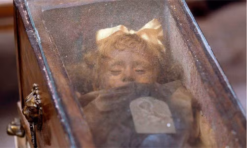 Một giả thuyết khác cho rằng, việc một số người nhìn thấy Rosalia chớp mắt chỉ là ảo ảnh quang học.