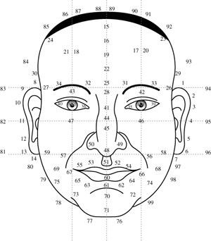 Một trong những thuật xem tướng nổi tiếng của người Trung Quốc thời xưa là việc chia gương mặt của mỗi người thành 3 phần.
