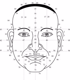 Một trong những thuật xem tướng nổi tiếng của người Trung Quốc thời xưa là việc chia gương mặt của mỗi người thành 3 phần.