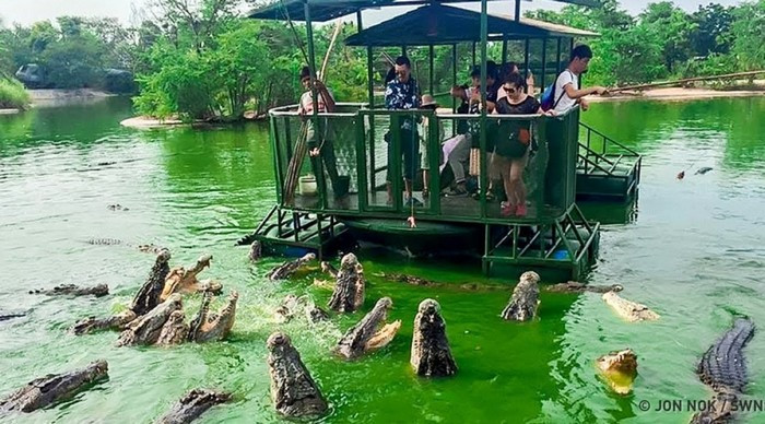 Theo các chuyên gia, mỗi con cá sấu ở đảo Ramree nặng khoảng vài trăm kg. Do vậy, chúng có thể dễ dàng đoạt mạng người nếu nạn nhân sơ xảy rơi xuống địa bàn của chúng.