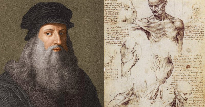 Thêm nữa, Leonardo da Vinci là người tiên phong trong việc vẽ các bộ phận cơ thể theo mặt cắt, vẽ chi tiết các bộ phận của người và một số động vật.