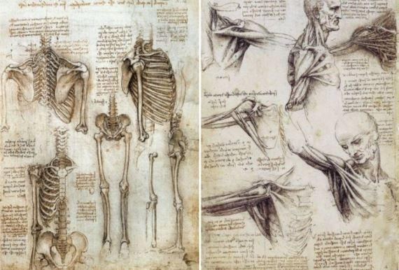 Theo đó, chính nghệ thuật đưa Leonardo da Vinci tới khoa học và ngược lại khoa học giúp ông đưa nghệ thuật đạt tới sự hoàn hảo.