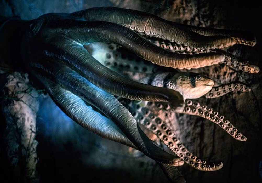 Nguyên do là bởi thủy quái đáng sợ này có cơ thể to lớn nên cần lượng thức ăn cực nhiều để sinh tồn.