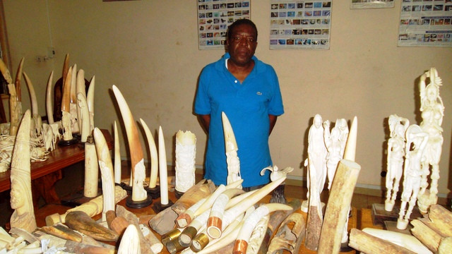 Giống Yang Feng Glan, Emile N’Bouke được mệnh danh là “trùm của những ông trùm buôn lậu ngà voi châu Phi. Vào ngày 7/8/2013, ông trùm Emile N’Bouke bị lực lượng đặc nhiệm Togo bắt giữ với tang vật gồm 750 kg ngà voi tại một cửa hàng của y ở thủ dô Lome của Togo.