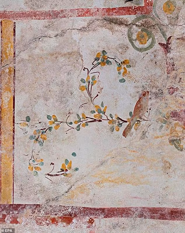 Cung điện được hoàng đế Nero cho người xây dựng vào năm 64 sau Công nguyên. Thời điểm xây dựng công trình này khiến dư luận bất bình khi nó được thi công sau một trận hỏa hoạn lớn xảy ra ở Rome.