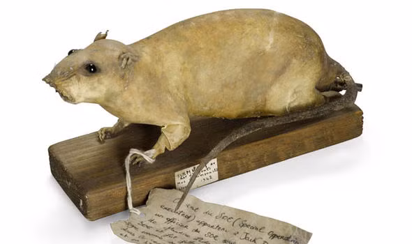 Mục đích của Anh là phá hủy những nhà máy, mục tiêu quan trọng của phát xít Đức.