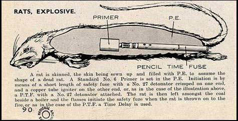 Cụ thể, các chuyên gia, nhà khoa học của Anh đã có ý tưởng vô cùng táo bạo là dùng chuột mang theo thiết bị nổ.
