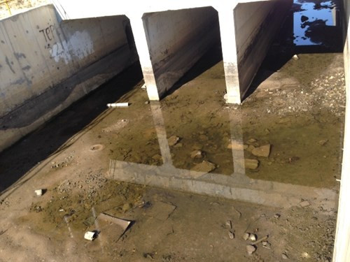 Những mương nước có cá chết này nối thẳng ra biển, một số điểm thải ra cánh đồng ngoài hàng rào Formosa.