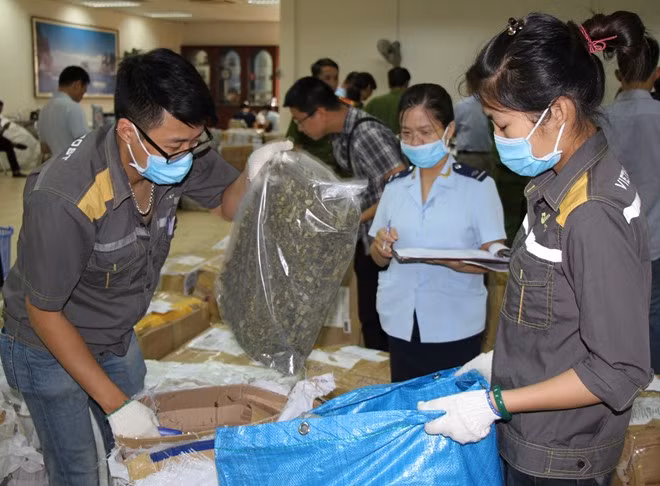 Chiều 6/7, Cục Hải quan TP Hà Nội phối hợp với các đơn vị nghiệp vụ kiểm đếm lô ma túy dạng mới (dân chơi gọi là "lá Khat"), có trọng lượng 2,5 tấn.