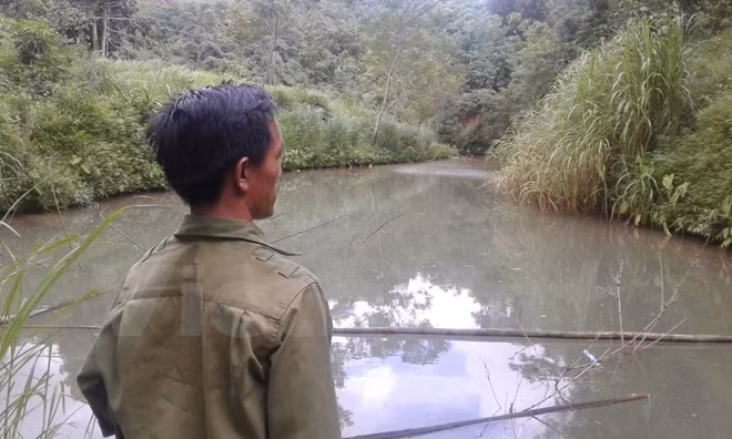 Chủ ao Bùi Văn Thủy bần thần khi 6 tạ cá anh thả đợt tháng Ba sau một đêm bỗng mất trắng (Ảnh: Võ Phương/Vietnam+)