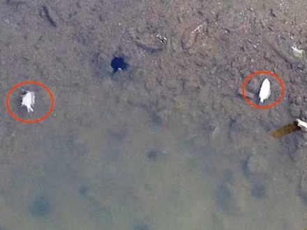 Nhờ dân bản địa giúp đỡ, phóng viên Tiền Phong vào công trường theo đúng theo quy trình của Formosa đặt ra.