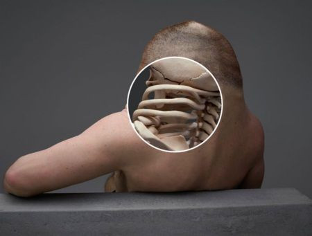 Đối với tai nạn ở những người đi bộ, hiện nay có rất nhiều yếu tố ảnh hưởng đến mức độ nghiêm trọng của chấn thương như: kích thước của chiếc xe, chiều cao, tốc độ và vùng ảnh hưởng. Và có rất nhiều trường hợp tai nạn khiến đôi chân bị hư hỏng nặng. Thực tế, chấn thương ở chân, bàn chân và mắt cá chân có thể gây ra tình trạng suy nhược lâu dài, trong khi chúng ta quá phụ thuộc vào chúng hàng ngày. Vì thế, Chân của Graham rất khỏe và có thể gập về nhiều hướng để có thể tránh đến mức tối đa chấn thương sau tai nạn.