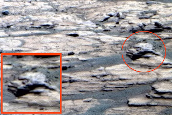 Vật thể lạ giống hệt đầu cừu được phát hiện tại khu vực sol 2136, sao Hỏa bởi NASA.