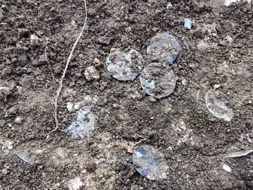 Mateusz Nowak, một trong 4 người tìm thấy “Kho báu Hambleden" cho hay: "Sau khi tìm thấy những đồng tiền cổ đầu tiên, chúng tôi đã kéo dài cuộc tìm kiếm thêm 2 lần nữa vì tìm thấy quá nhiều báu vật". Ảnh: Metal Detectives Group.