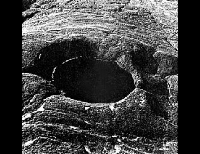 Theo một bài báo năm 1978 được công bố trên website của Đại học Alaska Fairbanks, miệng hố Savonoski rộng khoảng 500m và sâu 110m. Bên trong hố chứa 50% lượng nước đến từ nước mưa và tuyết tan. Ảnh: gi.alaska.edu.