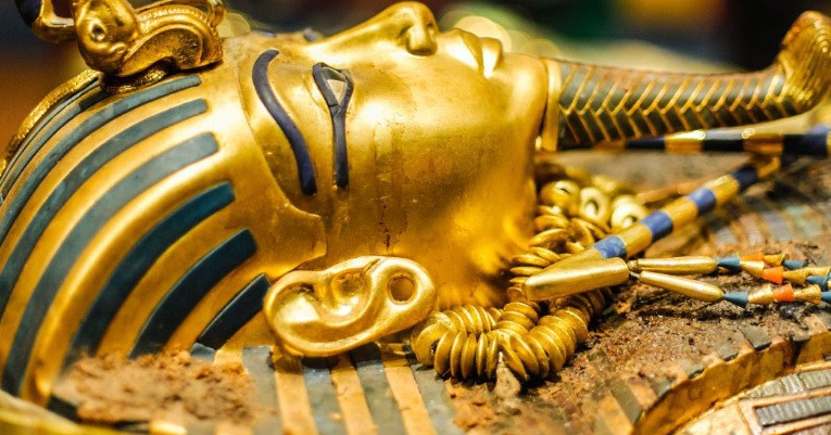 Tuy nhiên, một số loài giun ký sinh trong ruột, lây lan qua phân, sống lâu hơn các sinh vật khác và không phải tất cả đều cần vật chủ sống để tồn tại. Thế nhưng, chúng không phải mối đe dọa lớn. Ảnh: christineelder.