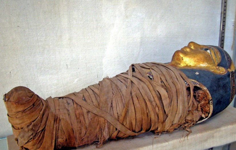 Cụ thể, các nhà khoa học, chuyên gia đã nghiên cứu, phát hiện người Ai Cập cổ đại mắc nhiều loại bệnh truyền nhiễm bao gồm: đậu mùa, bệnh lao và bệnh phong. Một ví dụ là Ramesses V - pharaoh thứ 4 ở vương triều 20 của Ai Cập đã mắc bệnh đậu mùa với bằng chứng là những vết sẹo bao phủ khắp xác ướp của ông. Ảnh: Dennis Jarvis (CC-BY-2.0) (A Britannica Publishing Partner).
