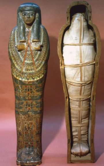 "Hầu hết các loài ký sinh trùng chết trong vòng 1 - 2 năm nếu không có vật chủ sống để ký sinh. Nếu mọi người đợi hơn 10 năm thì chúng sẽ chết hết cả", Giám đốc Mitchell cho hay. Ảnh: The Print Collector/Alamy.