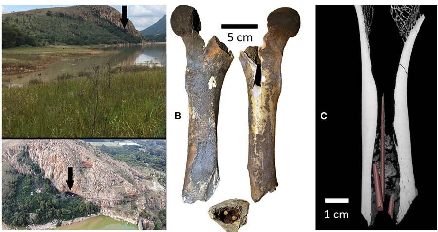 Việc sử dụng chất độc vào mục đích săn bắn được cho là có từ khoảng 60.000 - 70.000 năm trước. Tuy nhiên, các chuyên gia chưa tìm được bằng chứng xác thực về mặt hóa học. Ảnh: Dr Aliénor Duhamel.