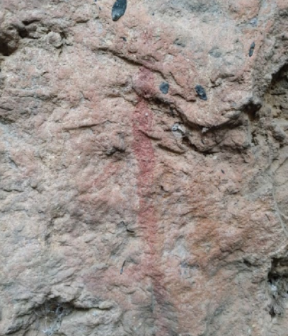 Các nhà nghiên cứu cho hay việc tạo ra hỗn hợp chất độc phức tạp cho thấy người xưa có hiểu biết sâu rộng về dược lý, cách sử dụng những loài cây có độc tính cao. Ảnh: The South African Archaeological Society.