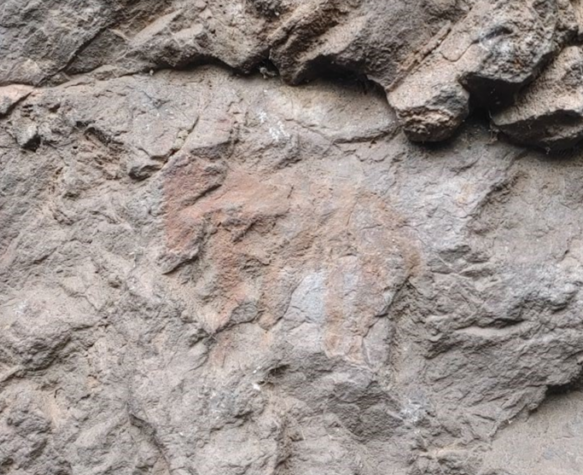 Phát hiện mới tại hang động Kruger trở thành bằng chứng quan trọng về việc người xưa sử dụng chất độc trong cuộc sống. Hỗn hợp chất độc được tạo thành từ những 2 hoặc nhiều loại cây chứa chất độc nguy hiểm rồi tẩm lên đầu mũi tên. Ảnh: The South African Archaeological Society.