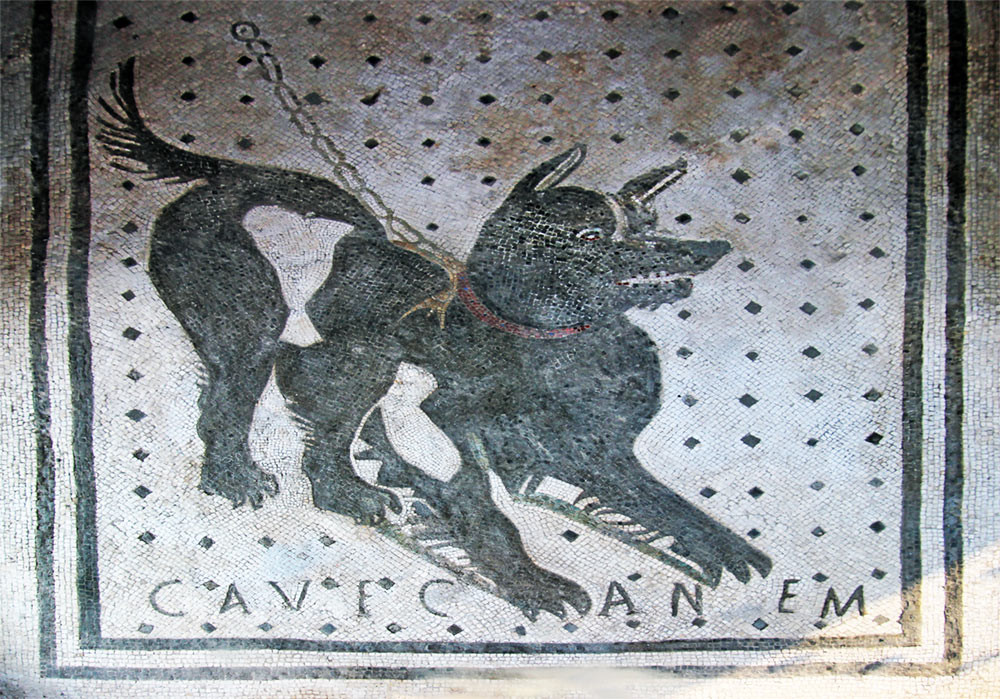 Dựa trên kết quả kiểm tra răng của của con chó được tìm thấy ở Córdoba, các chuyên gia phát hiện nó có chế độ ăn uống khá giống với chủ - người được chôn cất gần đó. Điều này cho thấy con vật đã được nuôi như thú cưng trước khi trở thành vật tế thần. Ảnh: weirditaly.