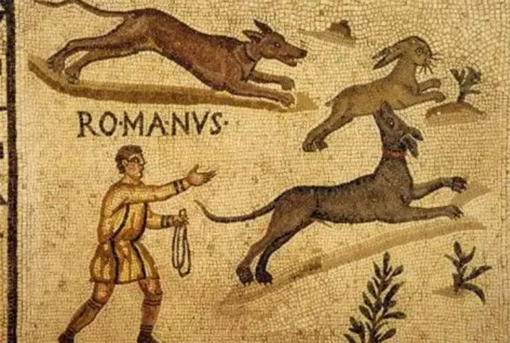 Người La Mã thực hiện hiến tế chó vì tin rằng, việc dâng lễ vật này lên các vị thần của thế giới ngầm có thể giúp họ trì hoãn cái chết sắp xảy ra. Ảnh: weirditaly.