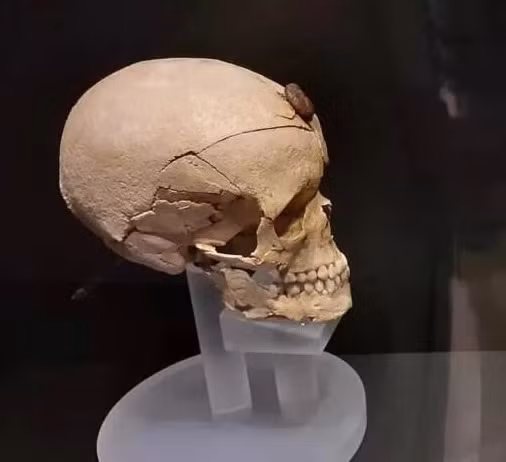 Nhóm nghiên cứu cho hay việc vào thế kỷ 6 trước Công nguyên, xã hội Iberia bắt đầu tương tác nhiều hơn với các nền văn minh Địa Trung Hải khác, dẫn đến việc thành lập các khu định cư mới dọc theo các tuyến đường thương mại và gia tăng bạo lực với người ngoài. Ảnh: AlbertRA/Wikimedia Commons.