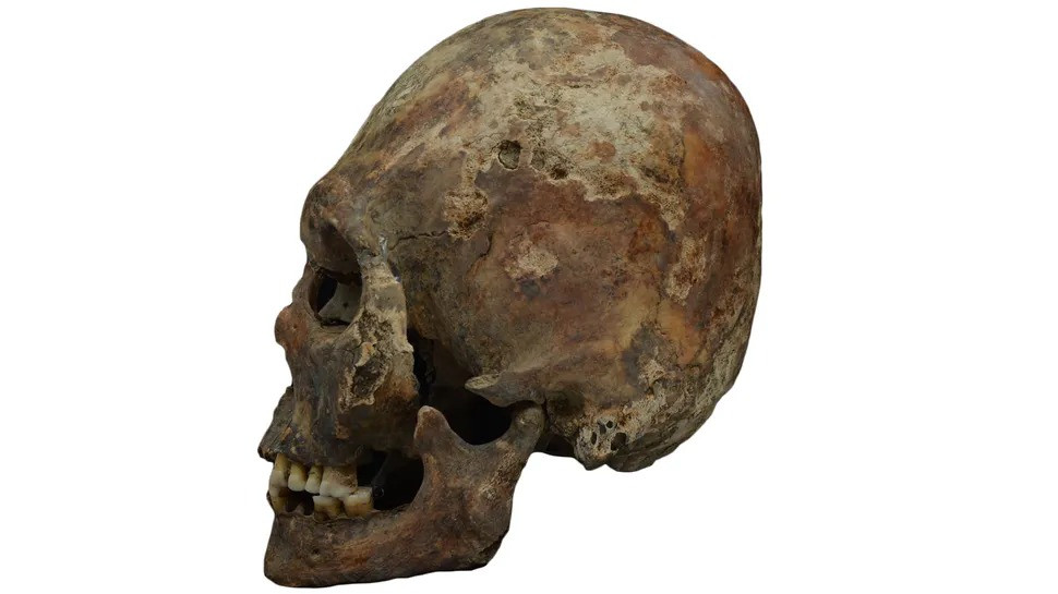 Trong nghiên cứu công bố trên tạp chí PNAS ngày 24/2, các nhà nghiên cứu đã kiểm tra bộ gen của 370 bộ hài cốt để tìm hiểu mối liên hệ giữa người Hung ở châu Âu sống vào thế kỷ 4 - 5 với các nhóm du mục ở Trung Á như người Hung Nô. Ảnh: Tamás Hajdu, Eötvös Loránd University.