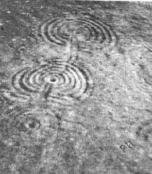 Đặc biệt, một quan điểm cho rằng, tảng đá Cochno có thể do người ngoài hành tinh tạo ra. Những dấu chân trên đó có thể khắc họa sinh vật ngoài Trái đất. Họ chạm khắc những hình vẽ trên tảng đá này để đánh dấu việc đã ghé thăm nhân loại. Ảnh: Morris 1981.