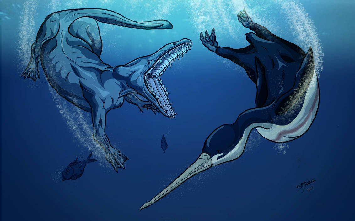 Bốn chi của cá voi Peregocetus pacificus có khả năng di chuyển trên đất liền nên chúng có thể lên bờ đá để nghỉ ngơi và sinh con ngoài thời gian dưới biển. Tứ chi của nó có móng guốc nhỏ và có màng để hỗ trợ bơi lội. Tuy nhiên việc di chuyển trên đất liền có lẽ không dễ dàng cho nó bởi 4 chi tương đối nhỏ so với thân hình to lớn. Ảnh: deviantart.