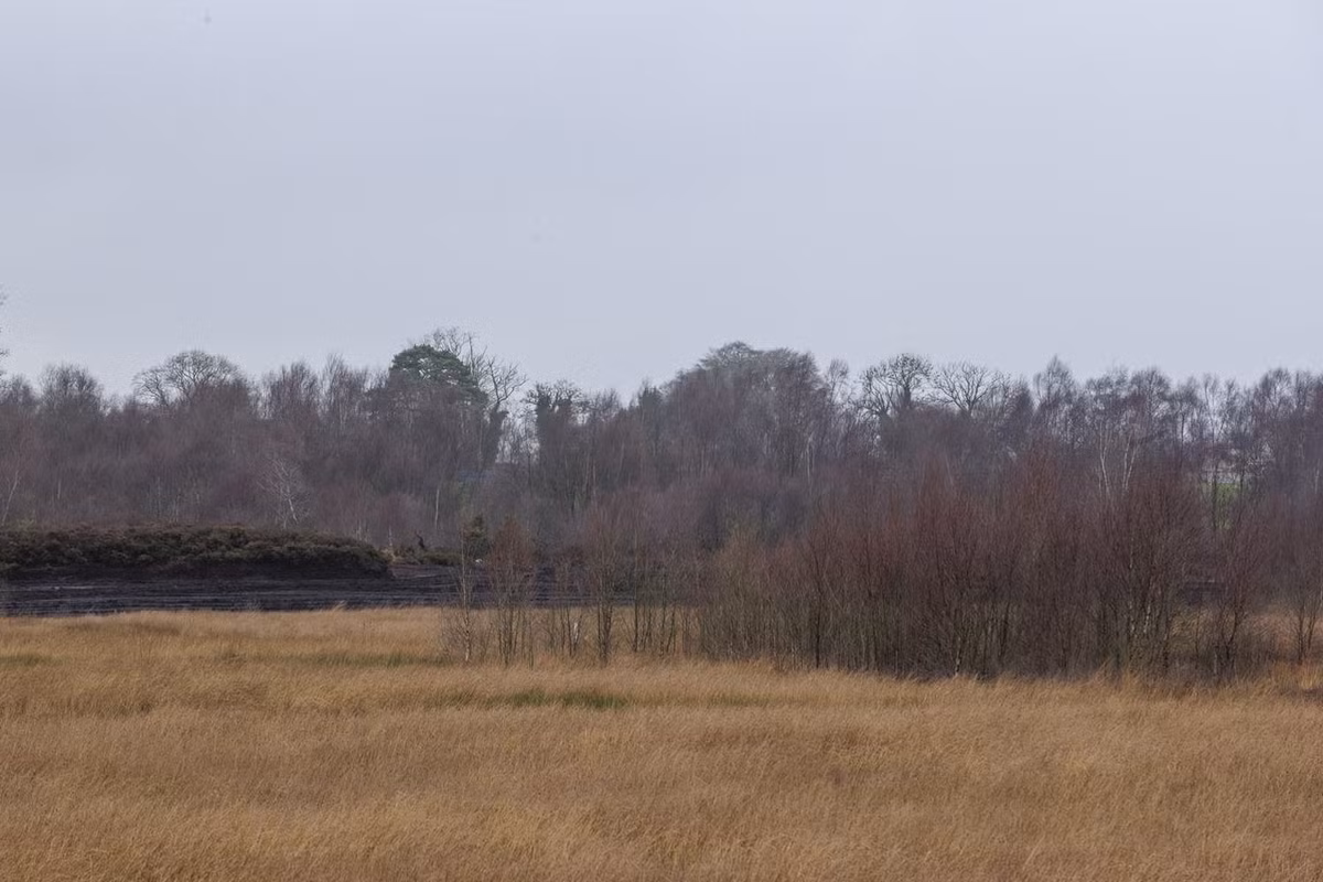 "Ballymacombs More Woman là một trong những khám phá khảo cổ quan trọng nhất tại Ireland vì phần lớn thi hài được tìm thấy trong đầy lầy thời kỳ này đều là nam giới", Niamh Baker - người phụ trách khảo cổ học tại Bảo tàng Quốc gia Bắc Ireland cho biết. Ảnh: Liam McBurney/PA Wire.