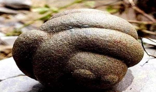 Đá trovant phát triển thêm khoảng 5 cm sau mỗi 1.000 năm thông qua lớp vỏ sa thạch dày lên. Lớp vỏ đó tạo từ những mẩu đá gắn kết với nhau bằng đá vôi. Ảnh: geologyin.