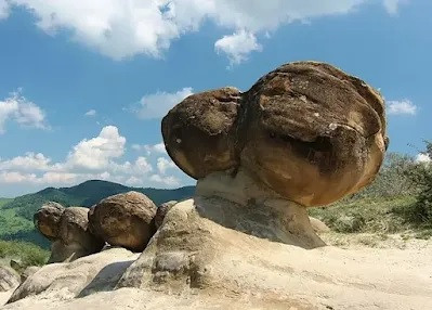 Trải qua hàng nghìn năm, chúng tạo ra vô số tảng đá trovant con. Trọng lượng của khối trovant con có thể khiến nó tách khỏi tảng đá mẹ. Trovant có nhiều hình dáng và kích cỡ, từ vài centimet tới vài mét. Ảnh: geologyin.