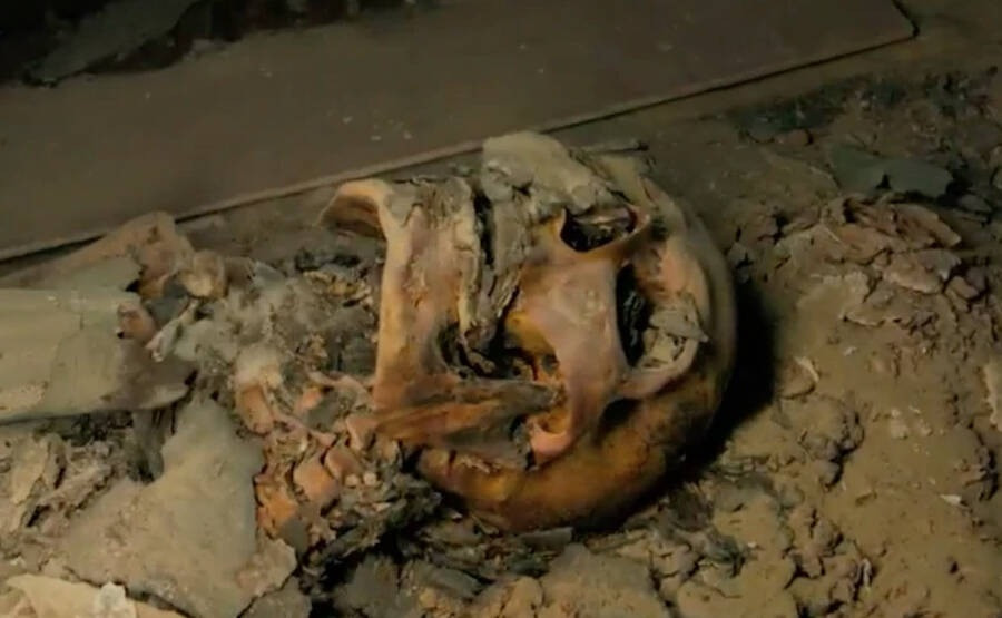 Cụ thể, nghĩa địa Saqqara nằm ở thành phố Memphis, Ai Cập cổ đại. Thành phố cổ Menes được thành lập vào khoảng năm 3000 trước Công nguyên. Ảnh: National Geographic.