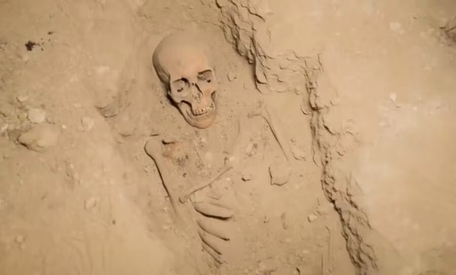 Ramadan Hussein, nhà Ai Cập học tại Đại học Tübingen ở Đức, đã cùng các đồng nghiệp thực hiện cuộc khai quật tại Saqqara từ năm 2016. Theo đó, nhóm của ông đã phát hiện một xưởng xác ướp có niên đại từ năm 600 trước Công nguyên. Ảnh: National Geographic.