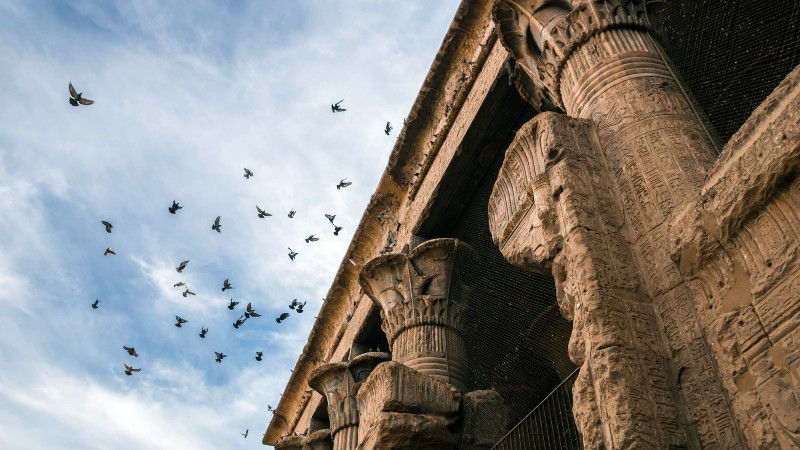 Theo nhóm chuyên gia, đền Esna có cấu trúc bằng đá sa thạch lớn với 24 cột và 18 cột đứng tự do được trang trí bằng các bức tranh khắc vẽ thực vật. Chúng có kích thước 37 x 20 x 15m. Ảnh: jakadatoursegypt.