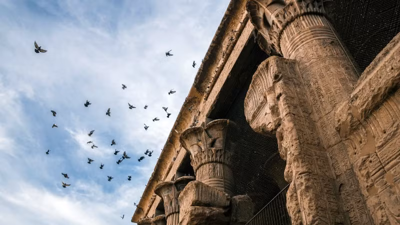 Theo nhóm chuyên gia, đền Esna có cấu trúc bằng đá sa thạch lớn với 24 cột và 18 cột đứng tự do được trang trí bằng các bức tranh khắc vẽ thực vật. Chúng có kích thước 37 x 20 x 15m. Ảnh: jakadatoursegypt.