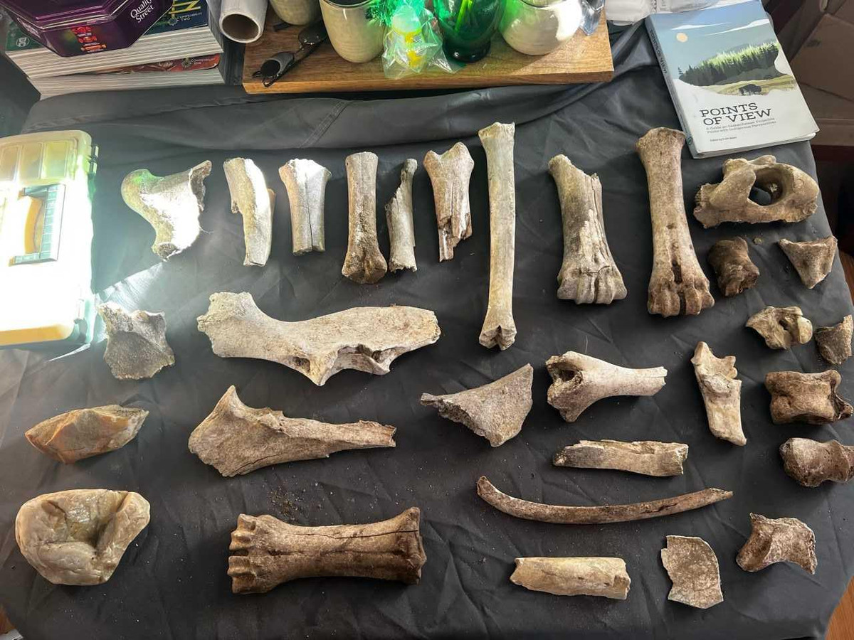 Âsowanânihk hiện đang được các nhà khảo cổ học, bao gồm chuyên gia Stuart, thực hiện các nghiên cứu, khảo sát và khai quật. Họ cũng làm việc với chính quyền địa phương để bảo vệ địa điểm khảo cổ này trước nguy cơ bị xói mòn hoặc bị phá hủy do các hoạt động khai thác gỗ trong khu vực. Ảnh: Submitted/ Dave Rondeau.