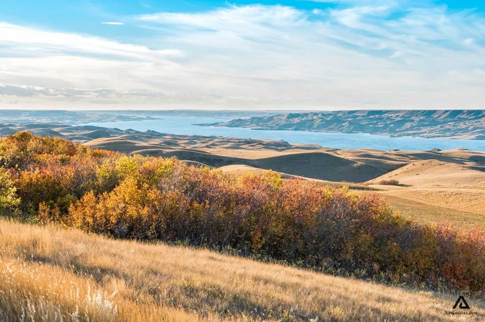 Glenn Stuart - nhà khảo cổ học tại Đại học Saskatchewan, người tham gia vào dự án khai quật trên cho hay Âsowanânihk có khả năng là một khu định cư lâu dài, chứ không phải là một trại săn bắn tạm thời, nơi những thợ săn bản địa đã săn bắn loài bò rừng bison antiquus đã tuyệt chủng. Ảnh: adventures.
