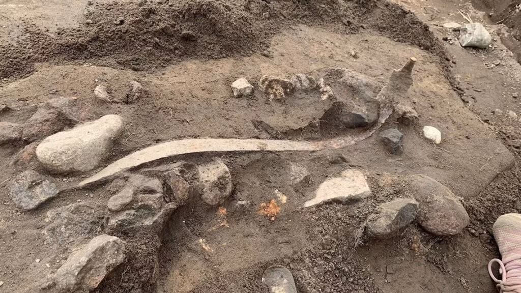 Những vũ khí bằng kim loại được đặt trong mộ một cách có chủ đích khiến giới chuyên gia suy đoán chúng được tùy táng cùng một nhân vật quyền lực đủ khả năng nuôi một đội quân. Ảnh: Vejle Museums.