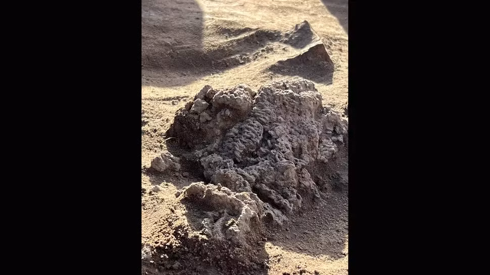 Theo các chuyên gia, số vũ khí trong ngôi mộ cổ đủ để trang bị cho một đội quân nhỏ. Đặc biệt, chiếc mũ sắt La Mã được tìm thấy tại đây là hiện vật duy nhất thuộc loại này từng được tìm thấy ở Đan Mạch. Họ suy đoán chiếc mũ sắt có thể là một lễ vật hiến tế hoặc lễ vật. Ảnh: Vejle Museums.