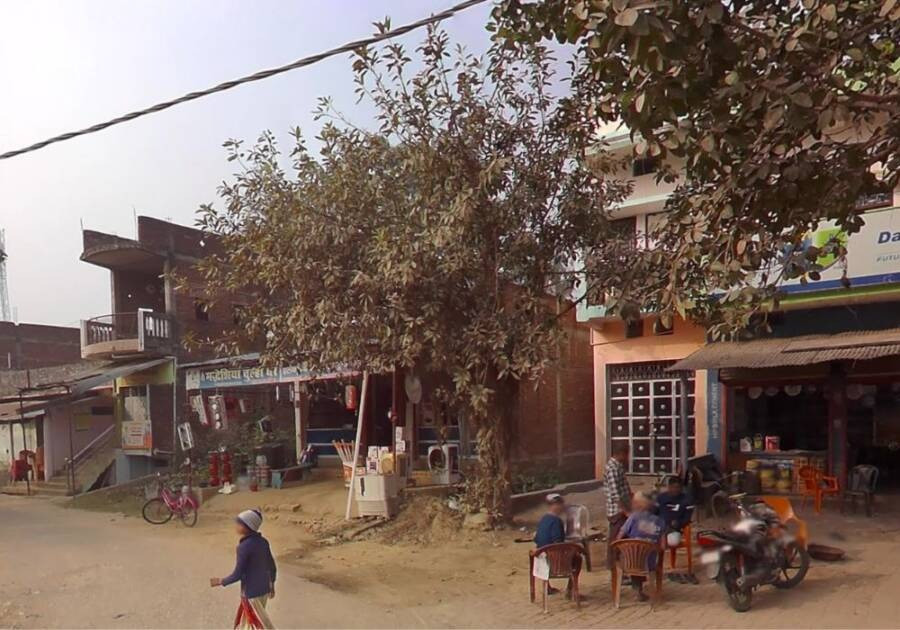 Bố mẹ của Amarjeet biết được tội ác của con trai đã gây ra với con gái nhưng quyết định giấu diếm mọi việc. Họ muốn bảo vệ con trai để Amarjeet không vướng vào vòng lao lý. Ảnh: Google Maps.