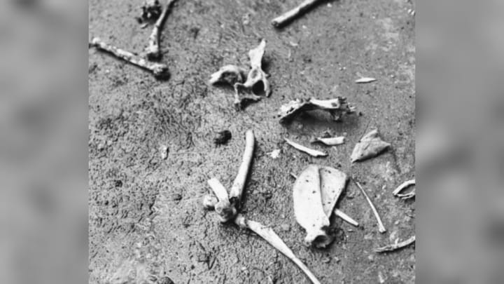 Một nhà tâm lý học đã kiểm tra tình hình sức khỏe của Amarjeet và chẩn đoán cậu ta mắc chứng rối loạn tâm thần. Ảnh: vocal.